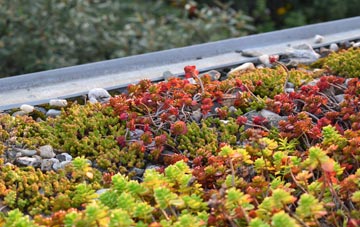 the cost of Studley Roger green roof installation