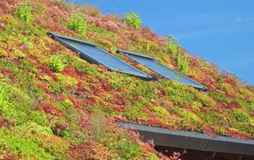 Studley Roger living roof systems
