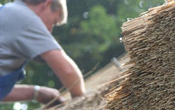 professional Studley Roger thatchers