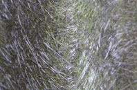 Studley Roger fibreglass roof work